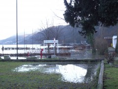 Der Hauptplatz mit einer Pfütze voll Rheinwasser